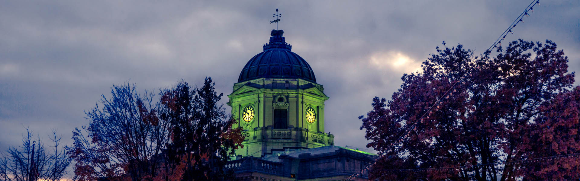 Neon color image of a band playing and people singing along